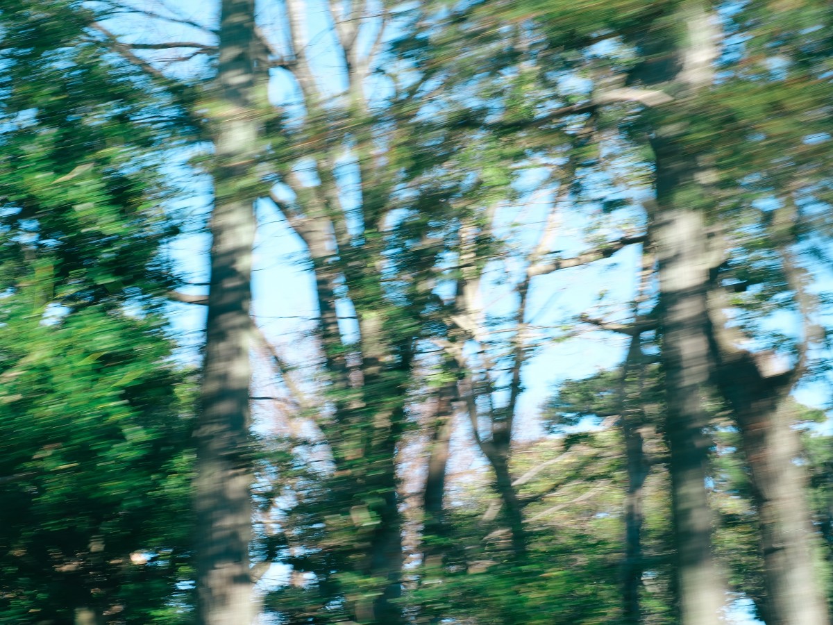 photo credit：Kota Nakagawa