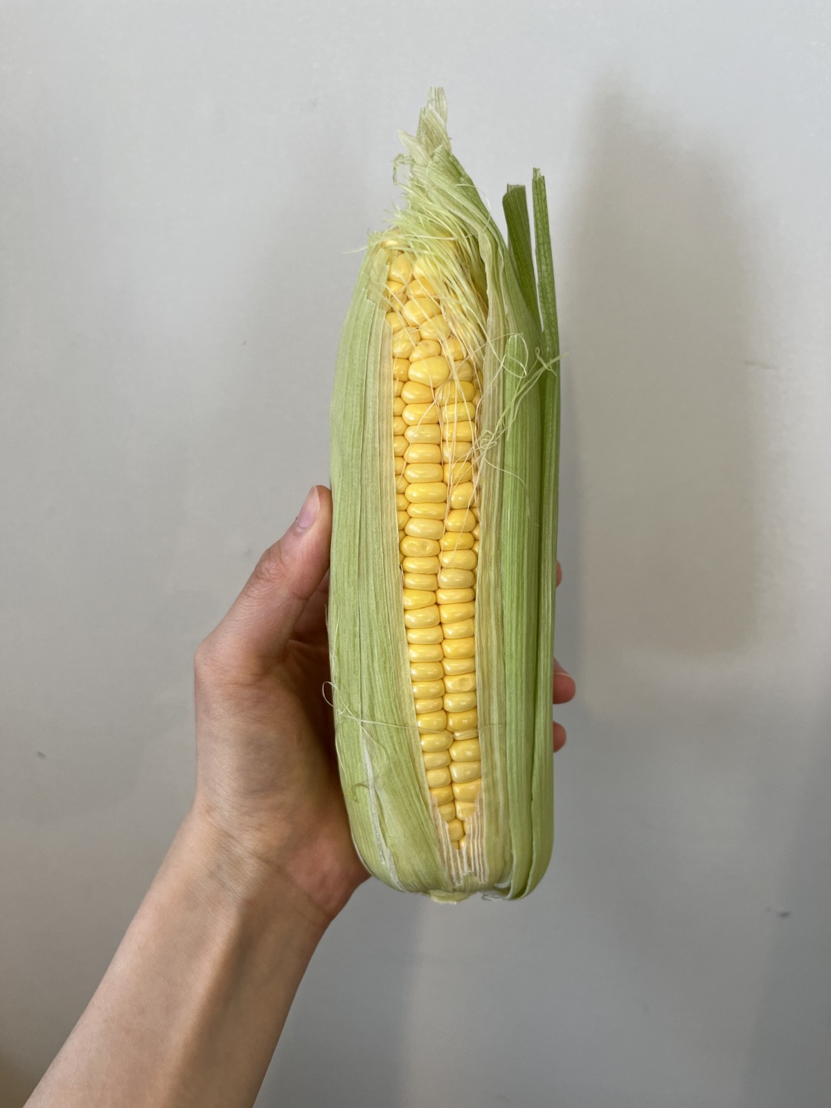 先日のおやつ、差し入れのとうもろこし