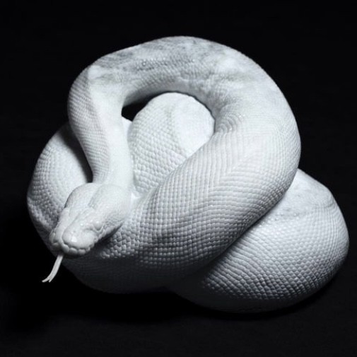 「python XXX」2017年　H14×W19×D24cm