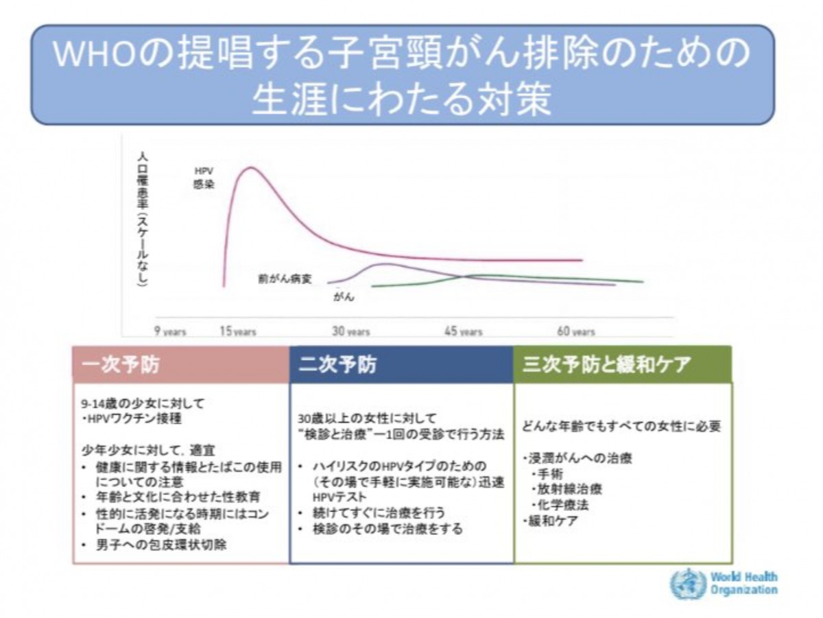 ワクチン導入当初の予防戦略・一時予防としてのコンドームと割礼はこの後消滅した。2018年のイニシアチブに含まれていない🐰