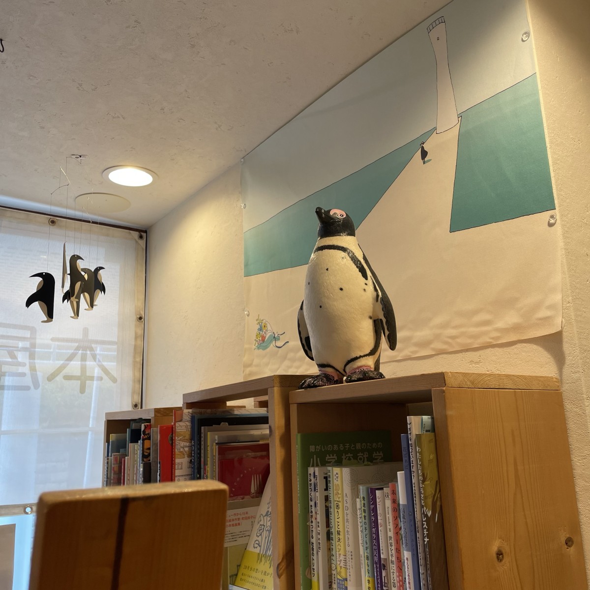 本屋lighthouseに移籍したペンギン。