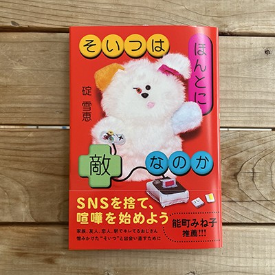 碇 雪恵『そいつはほんとに敵なのか』（hayaoki books）