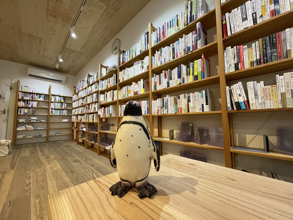 ポルベニールの店内にいるペンギン。背景は閉店後に残った在庫。