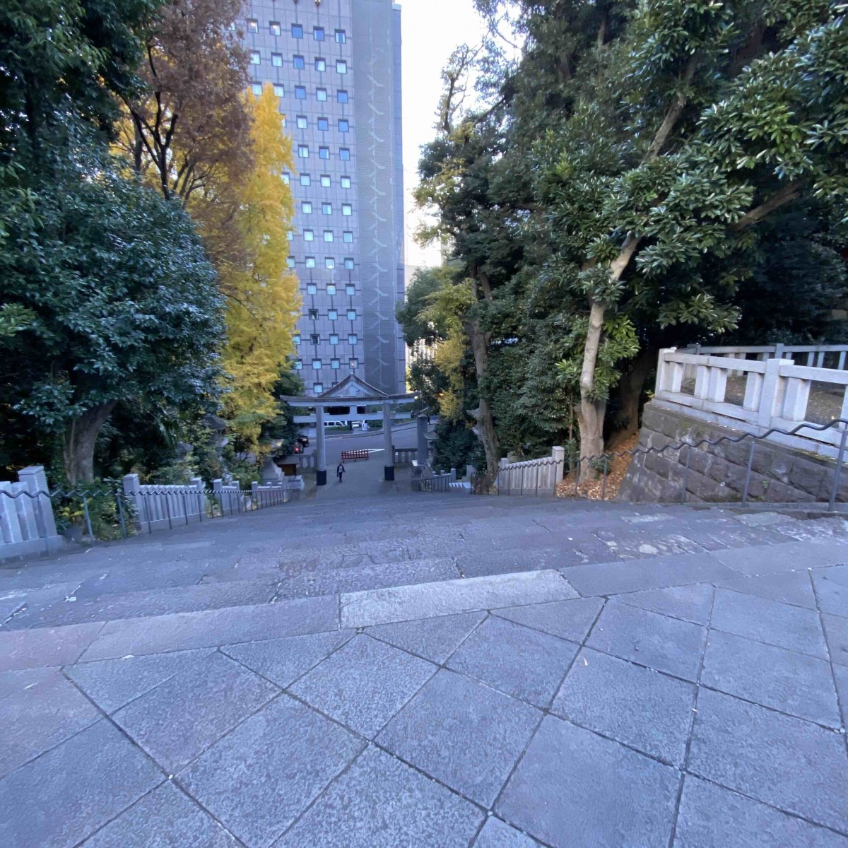 上から撮った参道の階段
