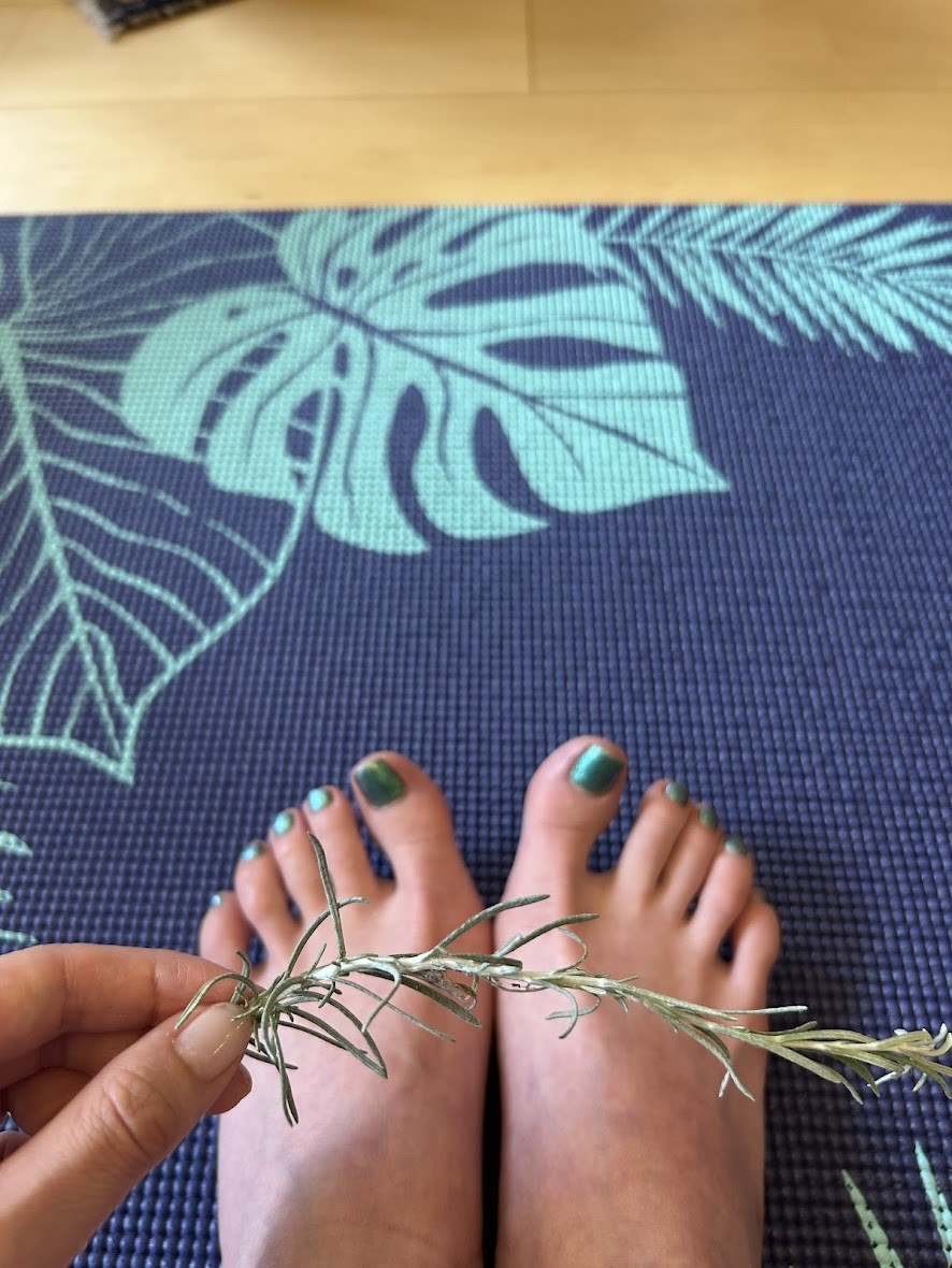 実家珈琲店で育ち始めた「カレープラント」。ローズマリーに見た目は似ていますが、スパイスカレーの香りがする不思議ハーブ！ハーブマニアな私も初めての出逢い。その効能や使い方はいかに。（画像クリック）