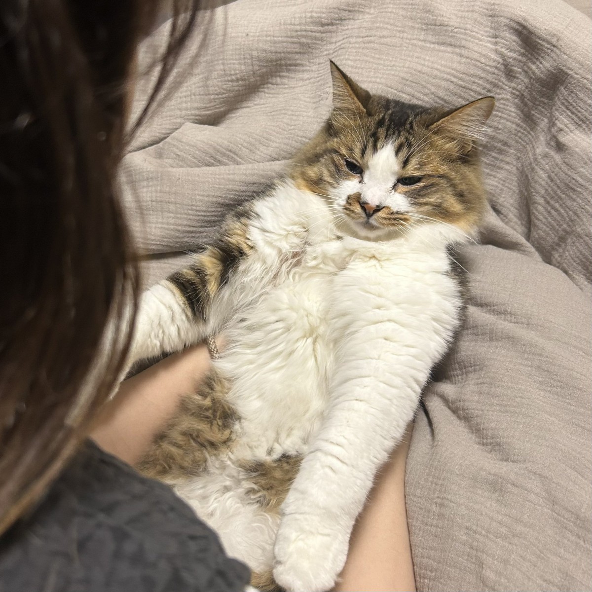 幸せそうなほたてくん