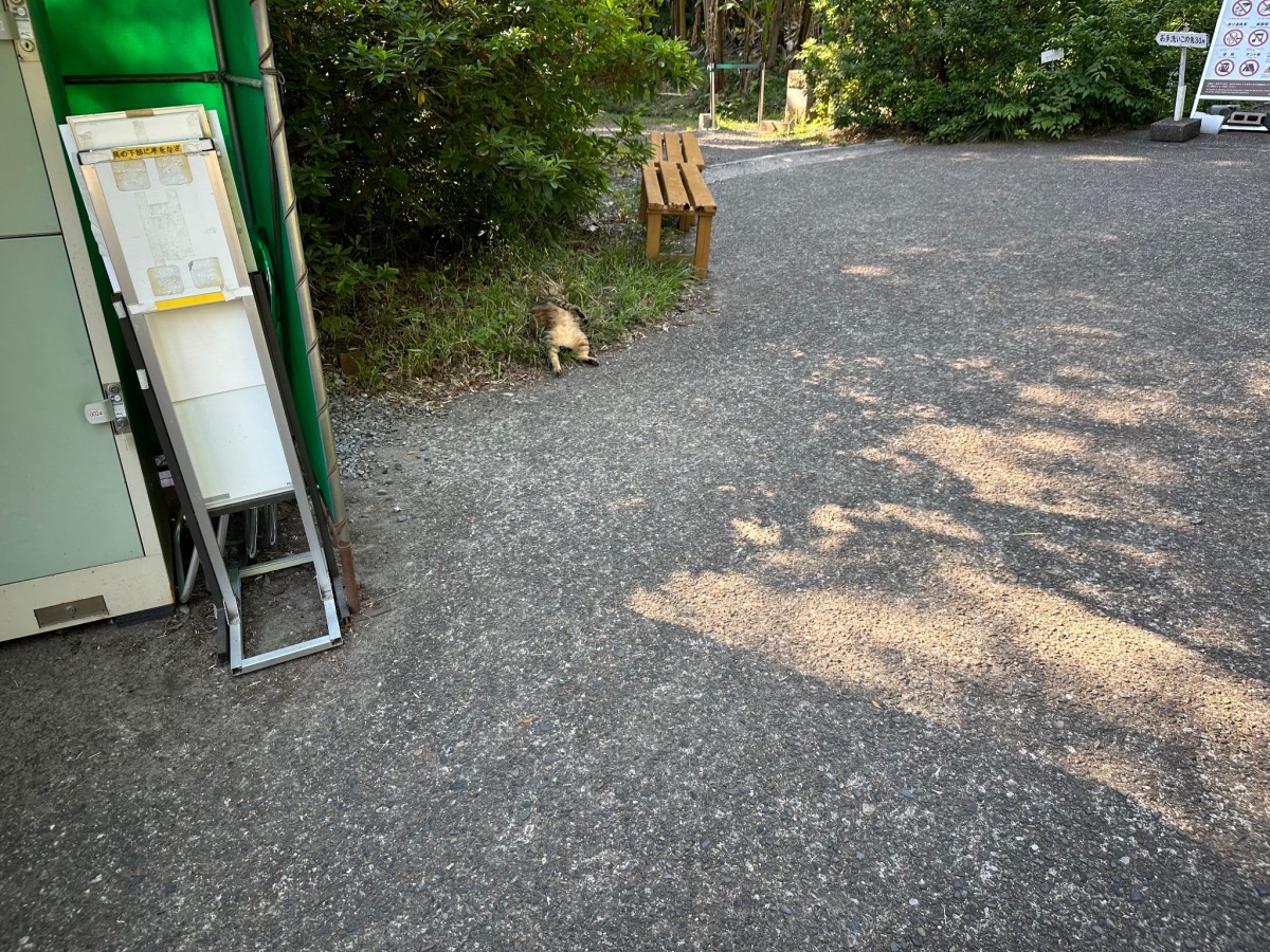 あそこにいるのは…(写真提供:湯浅政明さん)