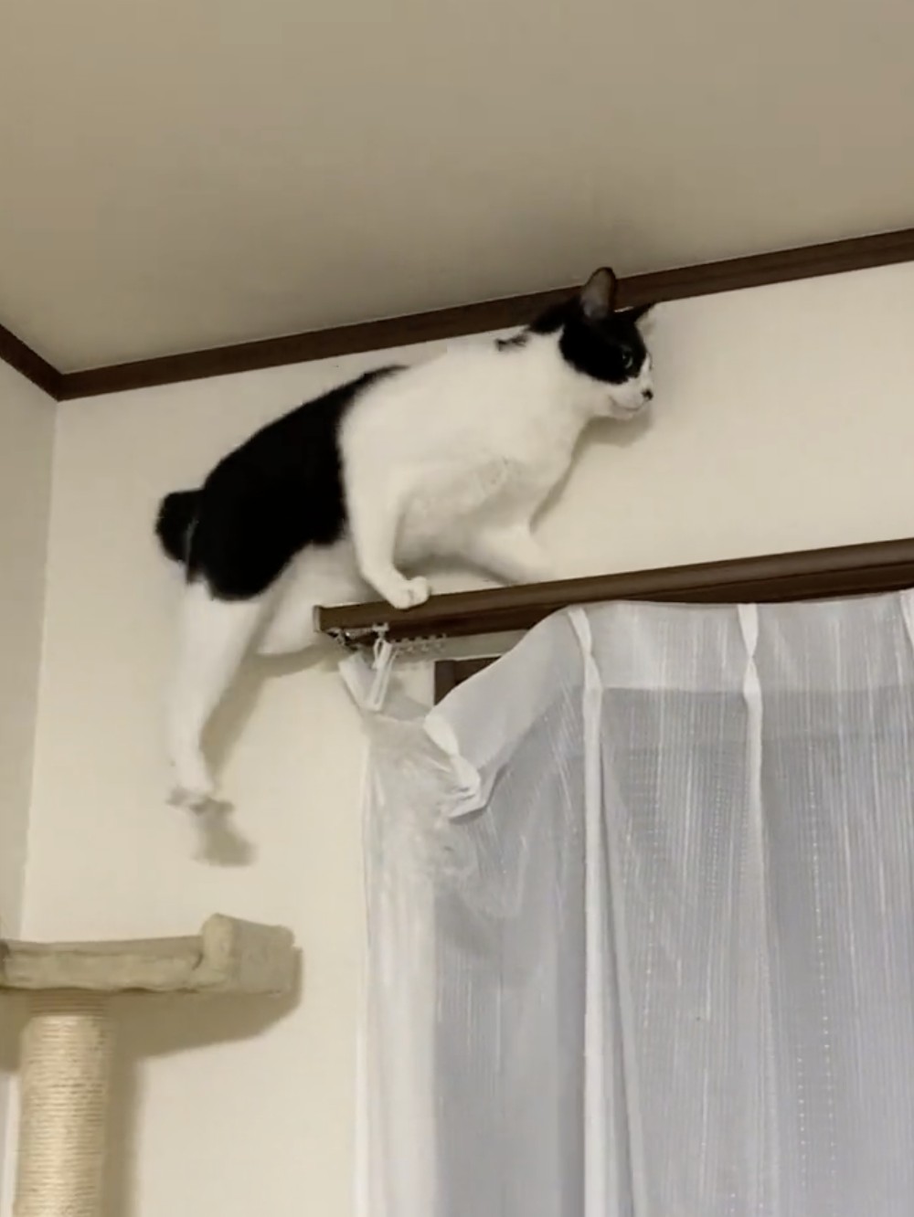 足が届かニャい&hellip;