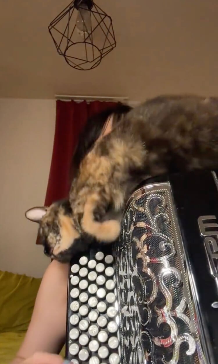 まずは楽器本体にスリスリ