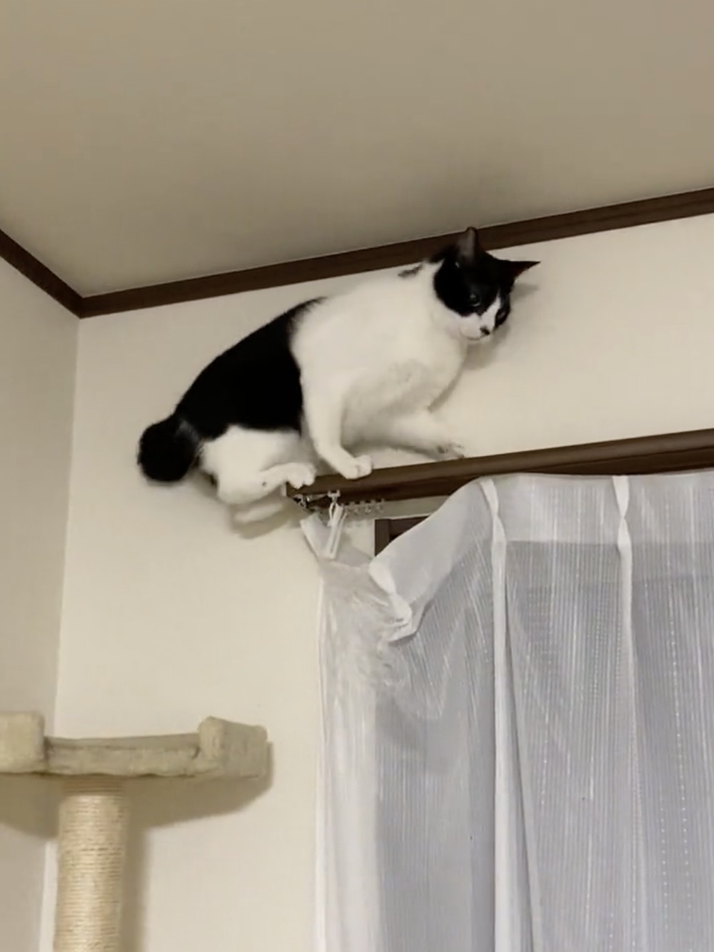 バックするのも怖そうだけど