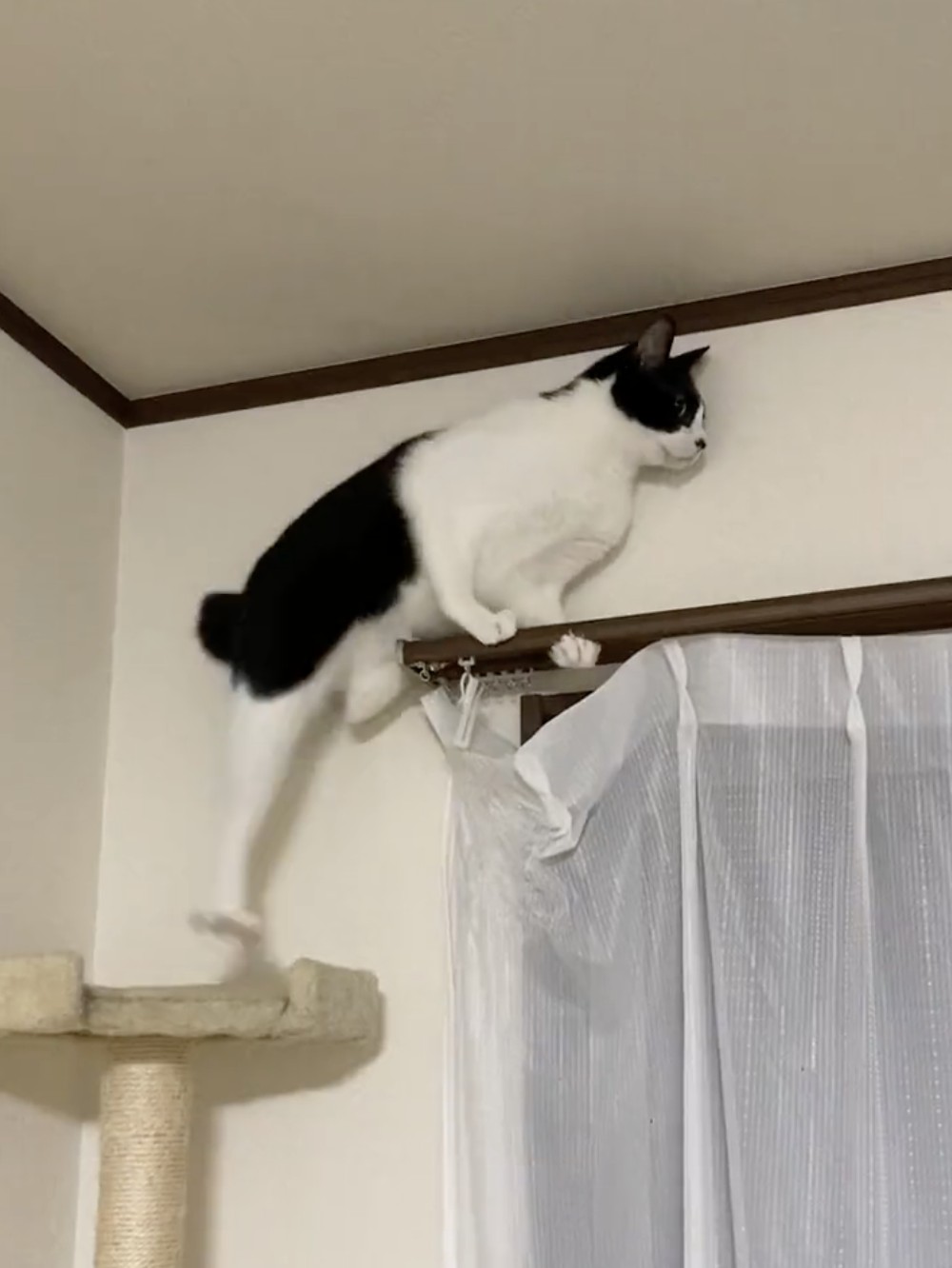 なんと左腕で体を固定!!