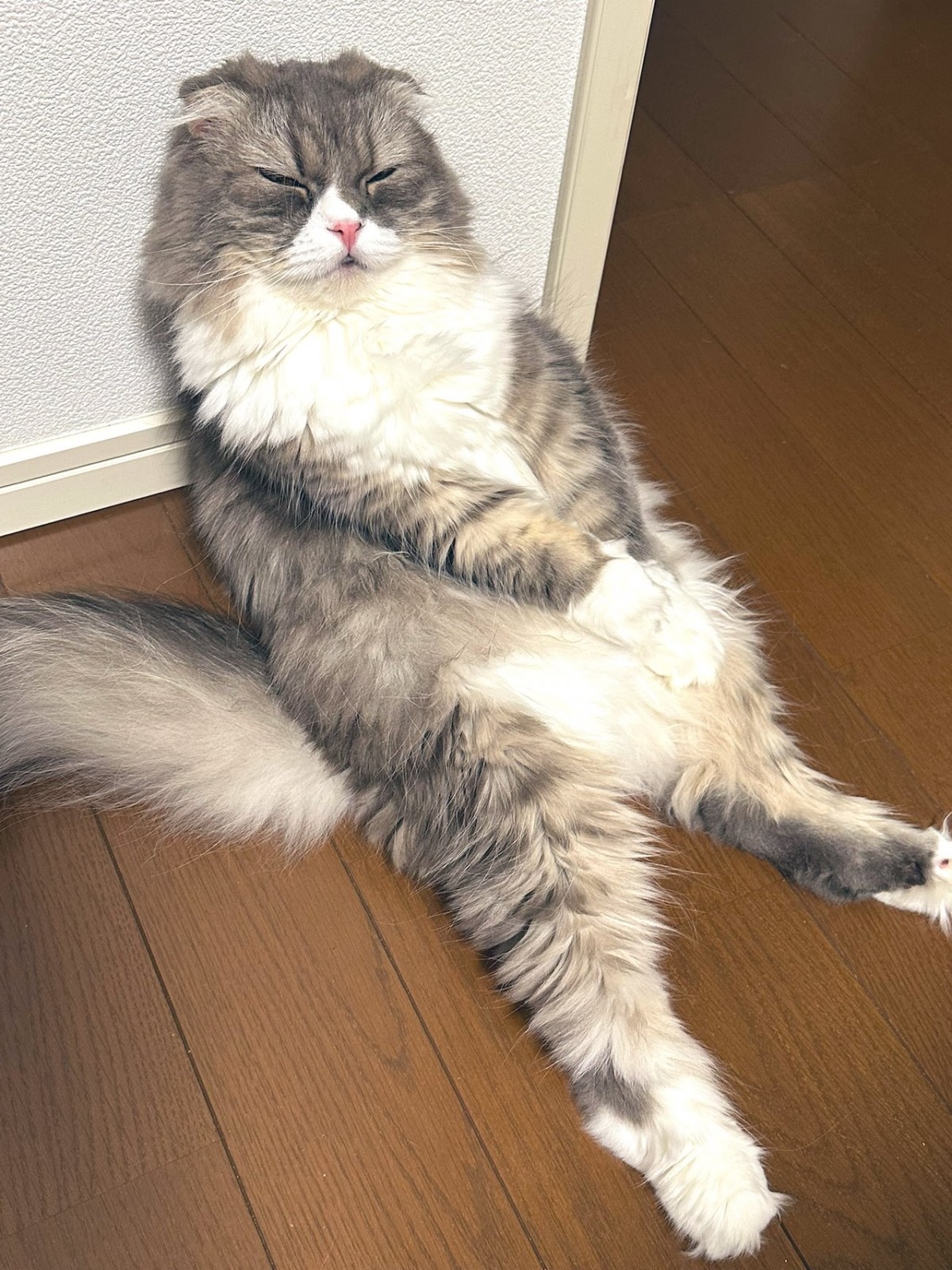 こんな座り方をすることも