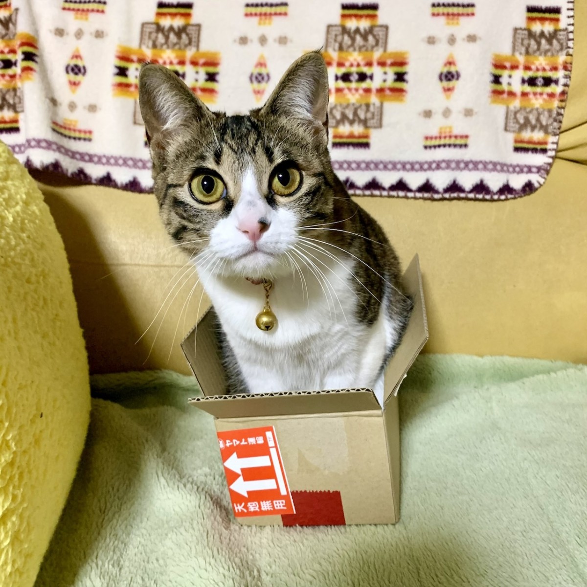 これはさすがに小さすぎ
