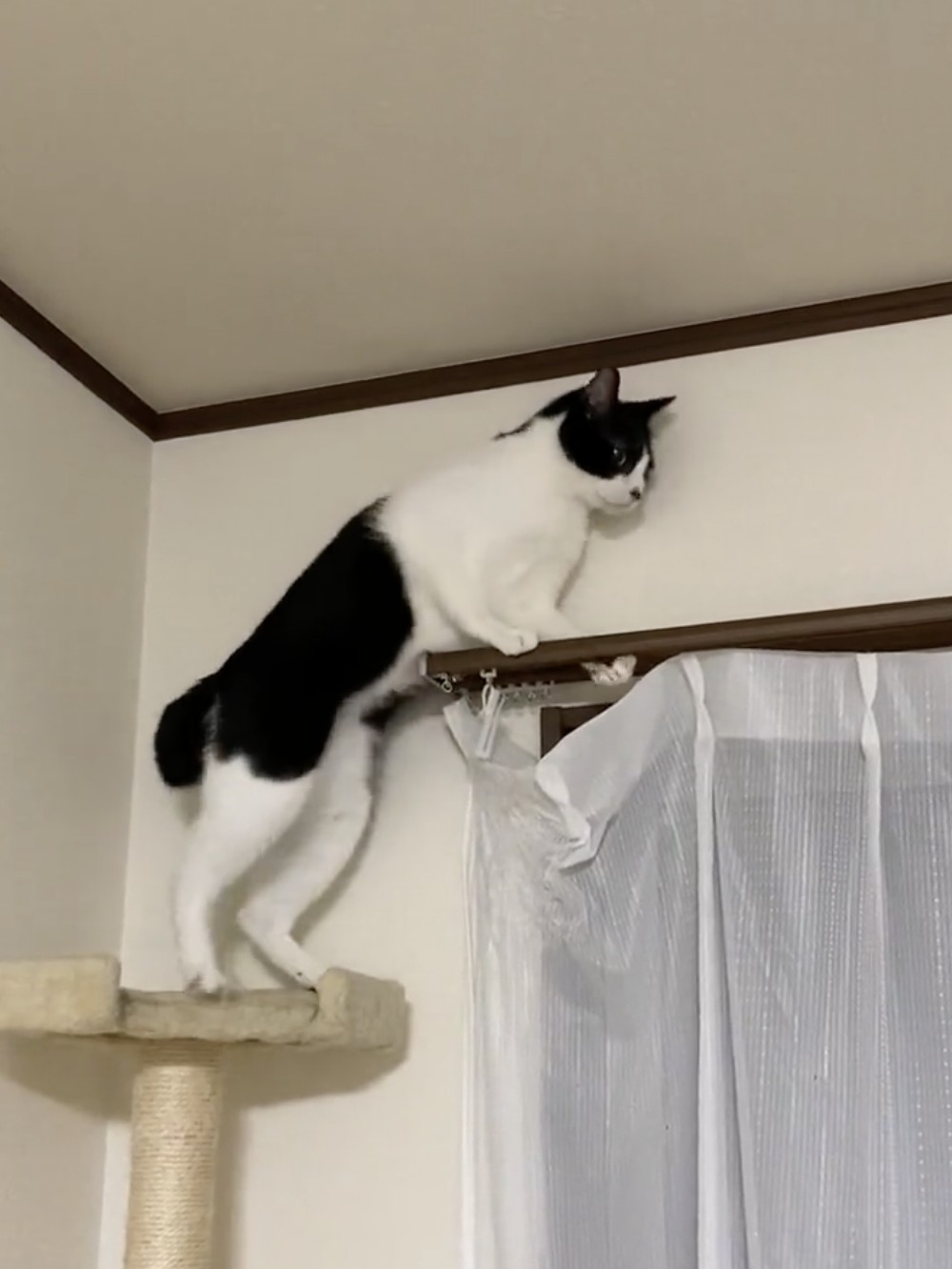 両足とも無事に着地