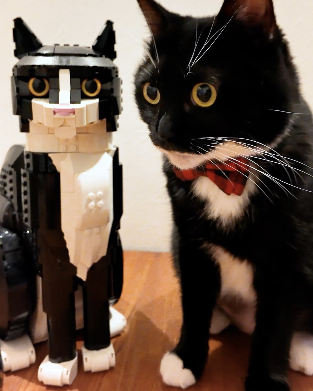 似すぎて怖いニャ