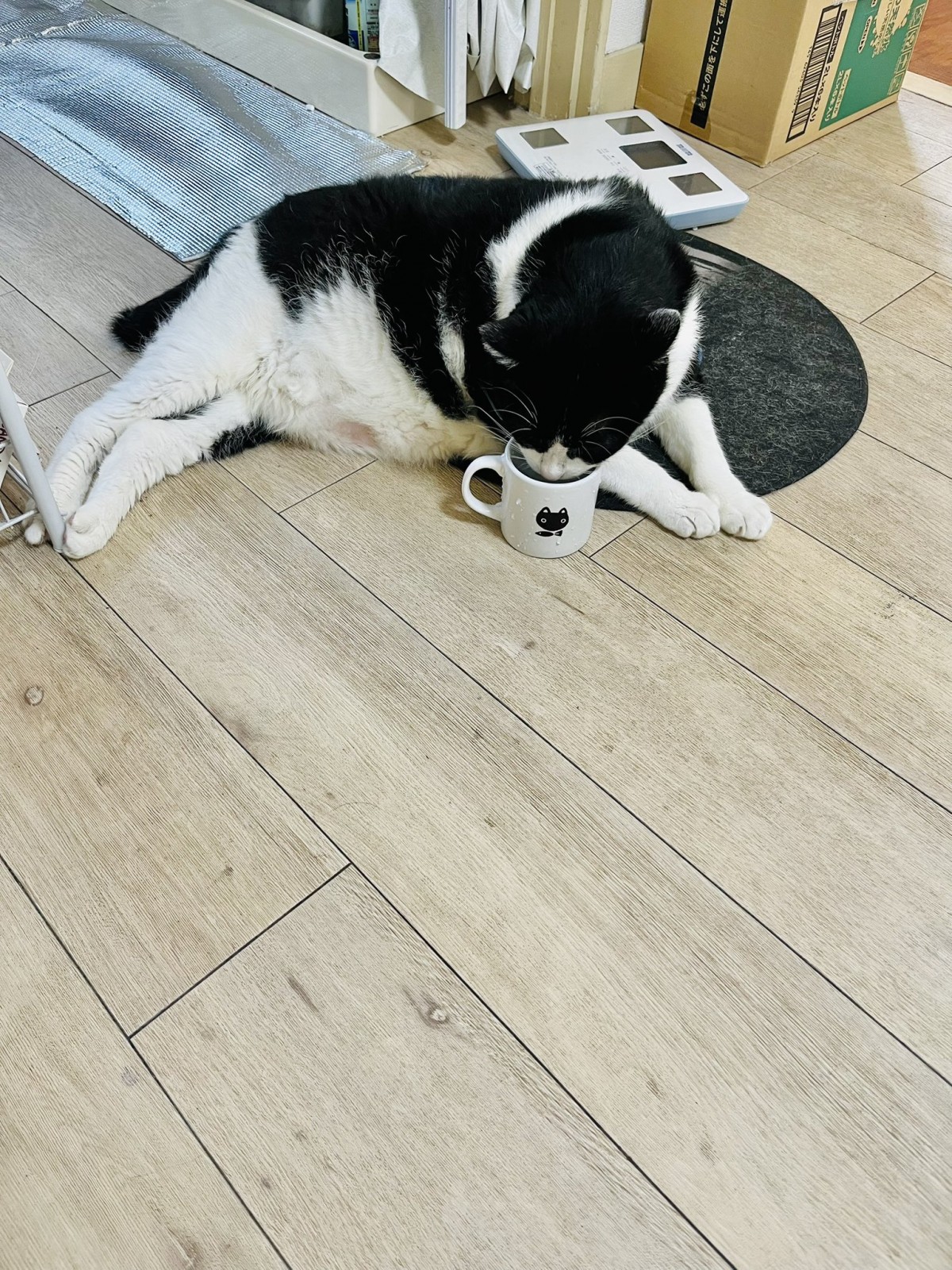 いつもは座って飲むニャ