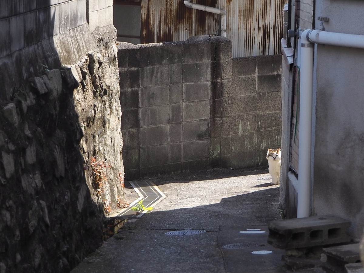 奥に何か&hellip;いるッ！（写真提供：かめさん）