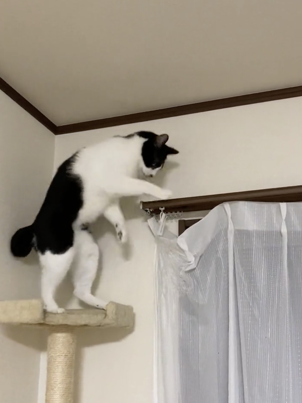 ここで下を確認