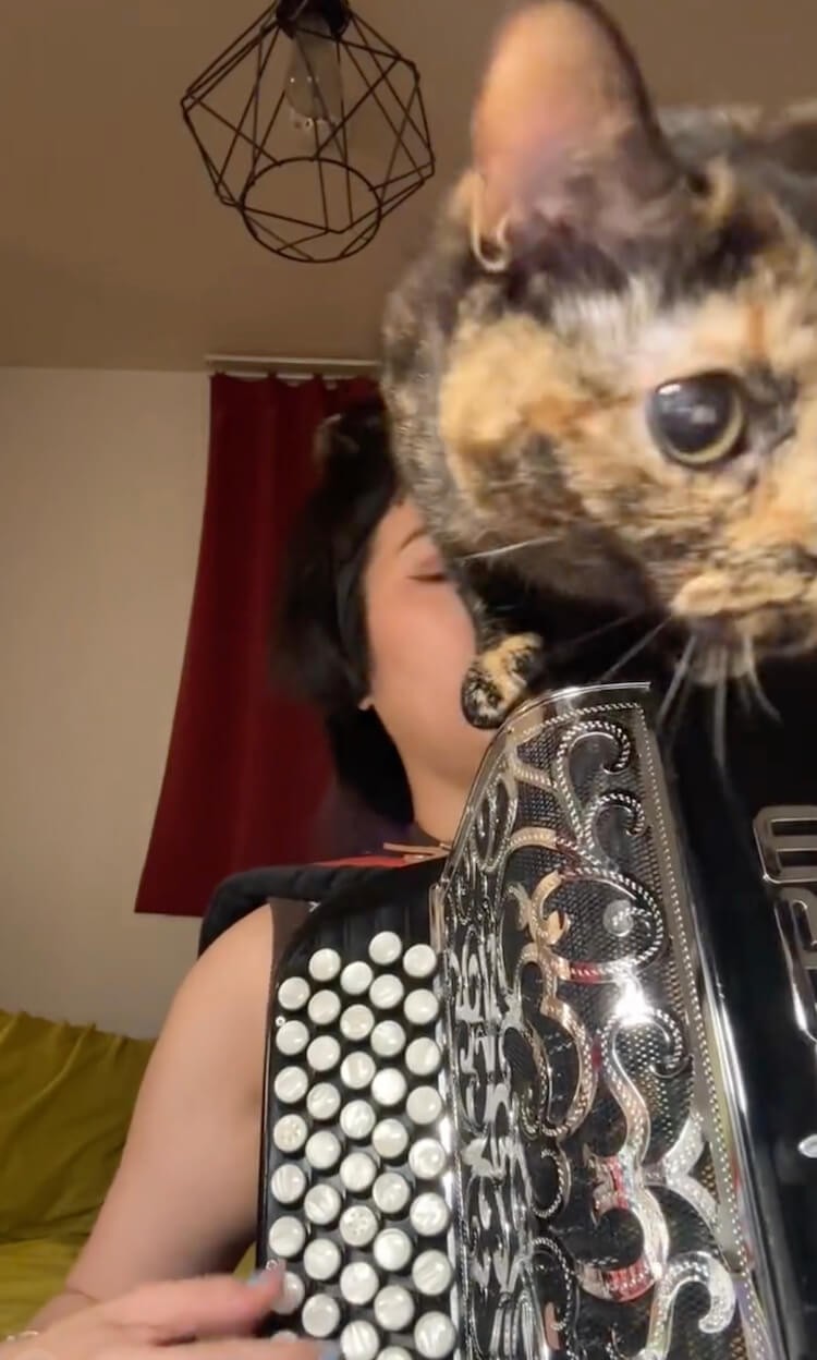 お尻を向けられる飼い主さん