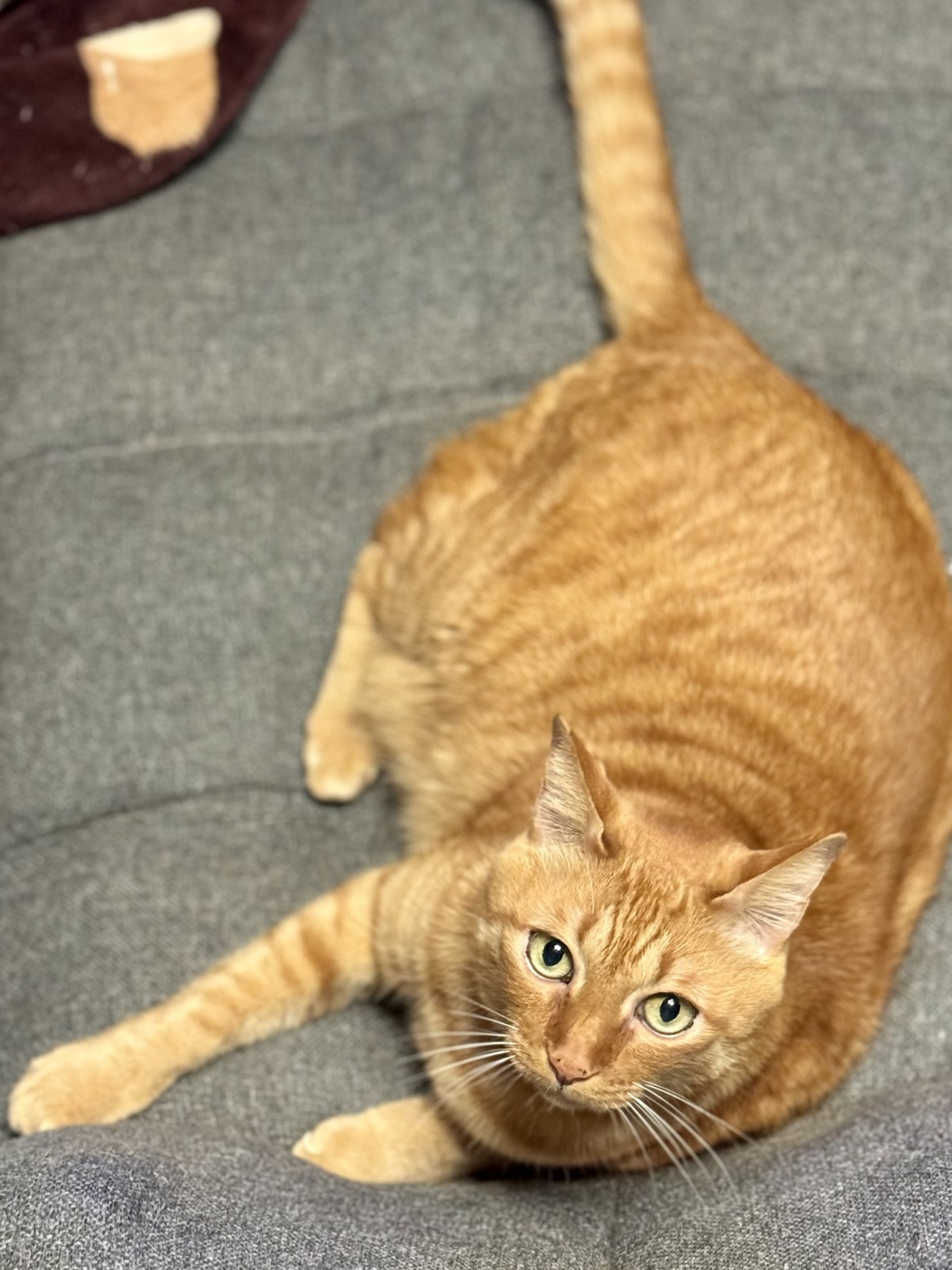 今ではこんなに大きく成長