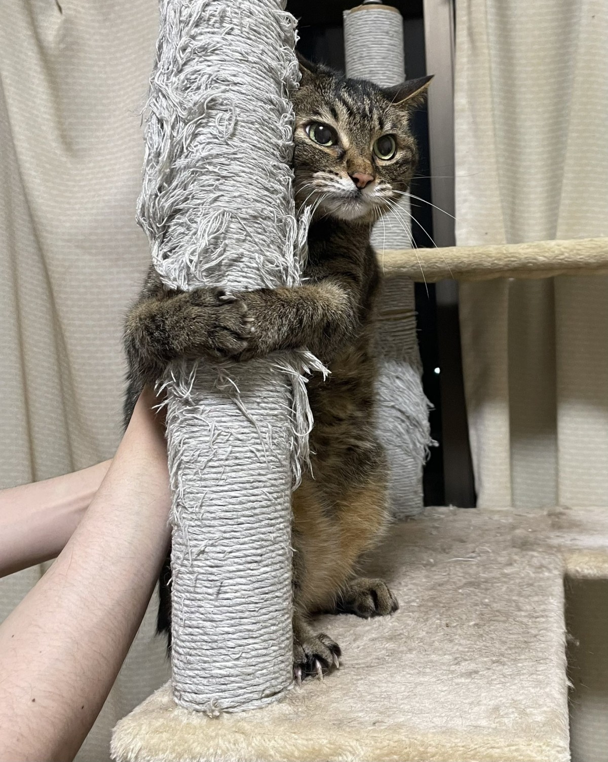 実際の写真(提供:飼い主さん)