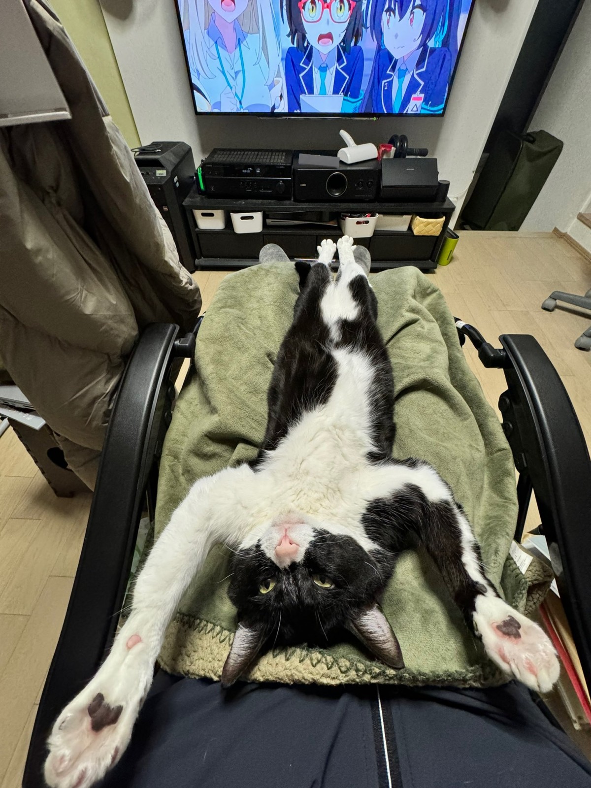 足閉じポーズもできるニャ