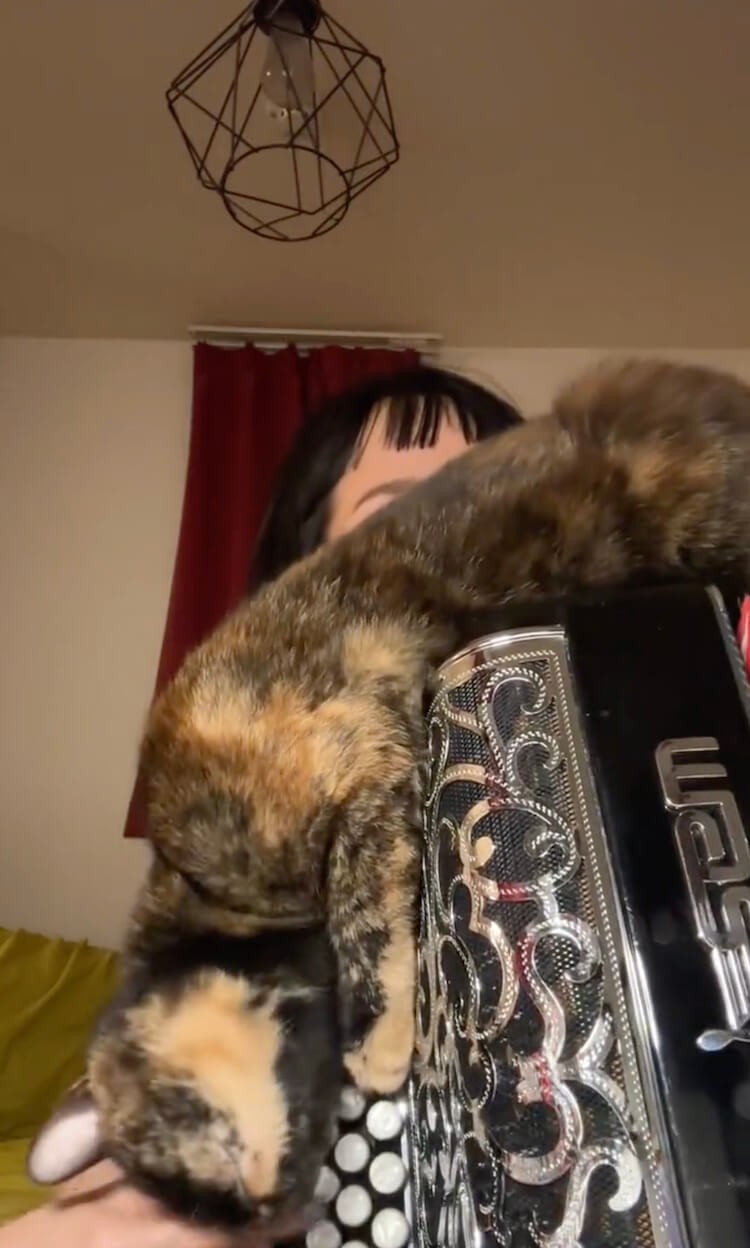 演奏中のお手々にもスリスリ