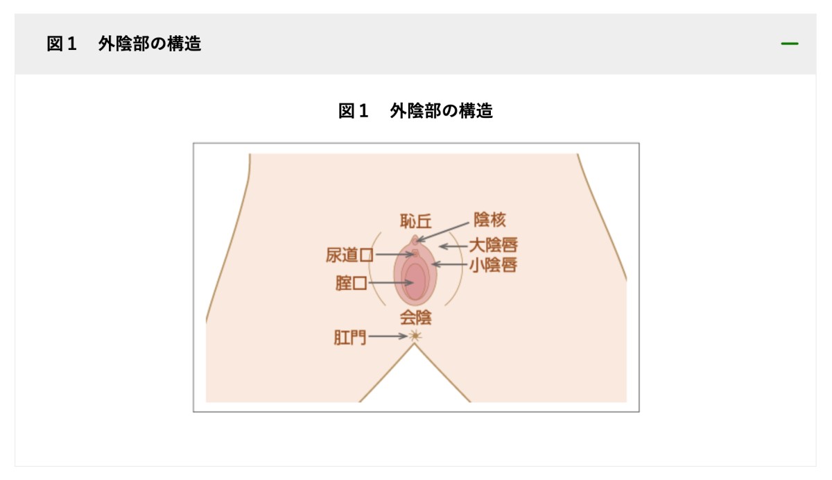 国立研究開発法人国立がん研究センター がん情報サービスの「外陰がんについて」のWebページより引用