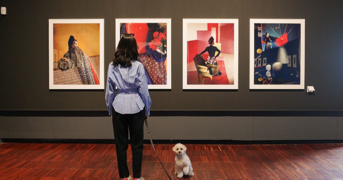 イタリアでは、犬と入れるアート施設がいくつかあった。散歩の延長線で芸術にも触れられるなんて感動すぎる……。