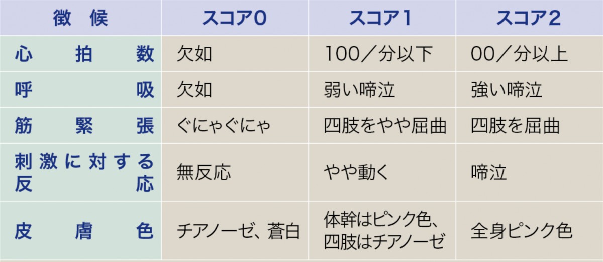 アプガースコアの各項目〜マイナビ看護部より引用