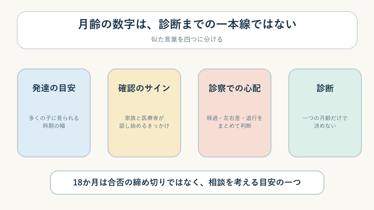 図2 発達の目安、確認のサイン、診察での心配、診断は同じものではありません。
