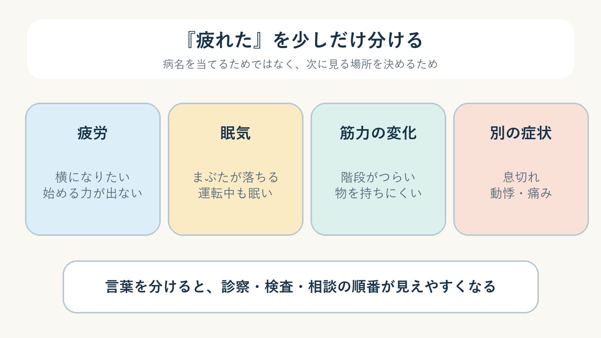 図2 疲れを少しだけ言い分けると、次に見る場所が分かりやすくなります。