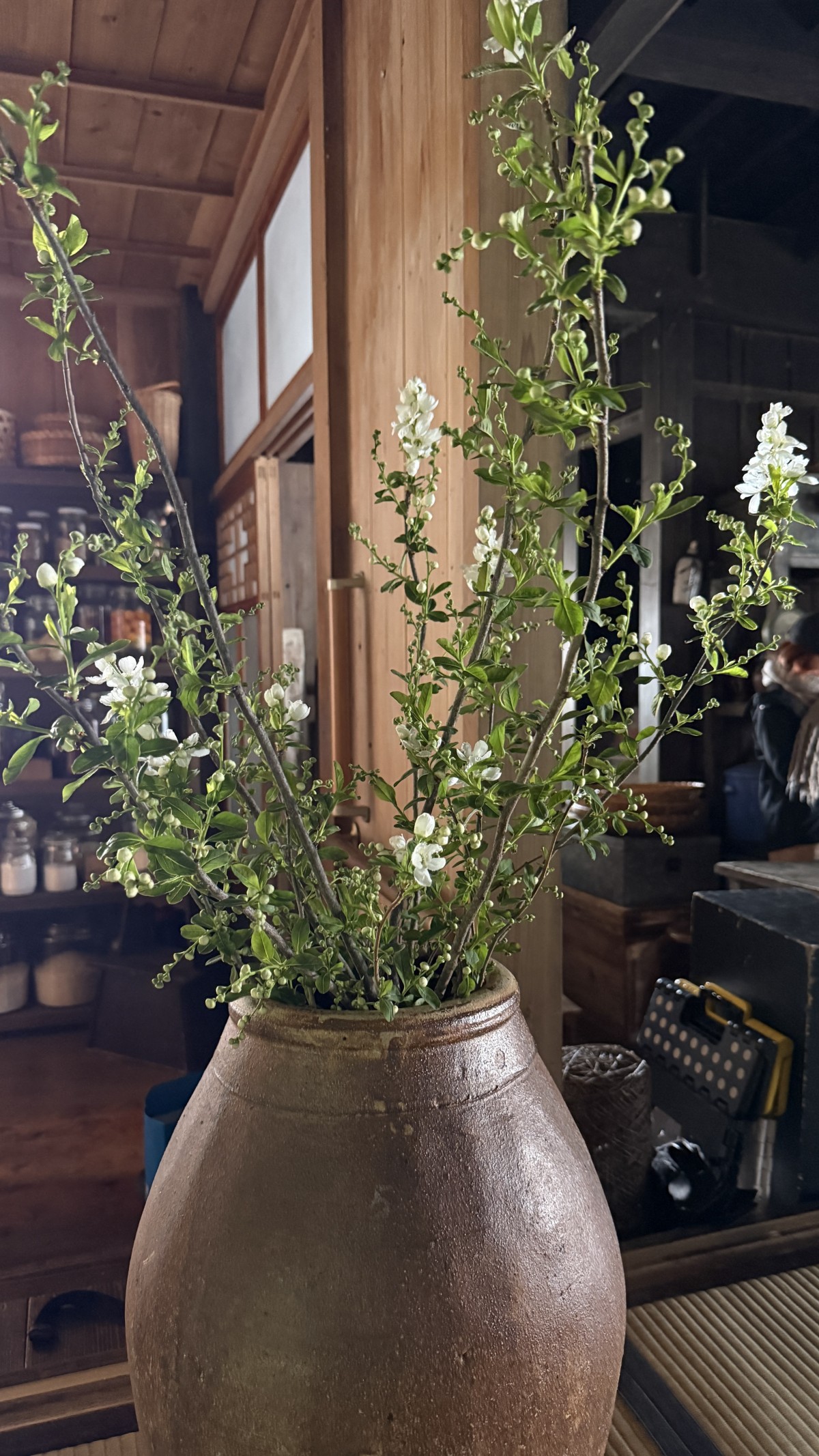 数話ごとに活ける花が変わる