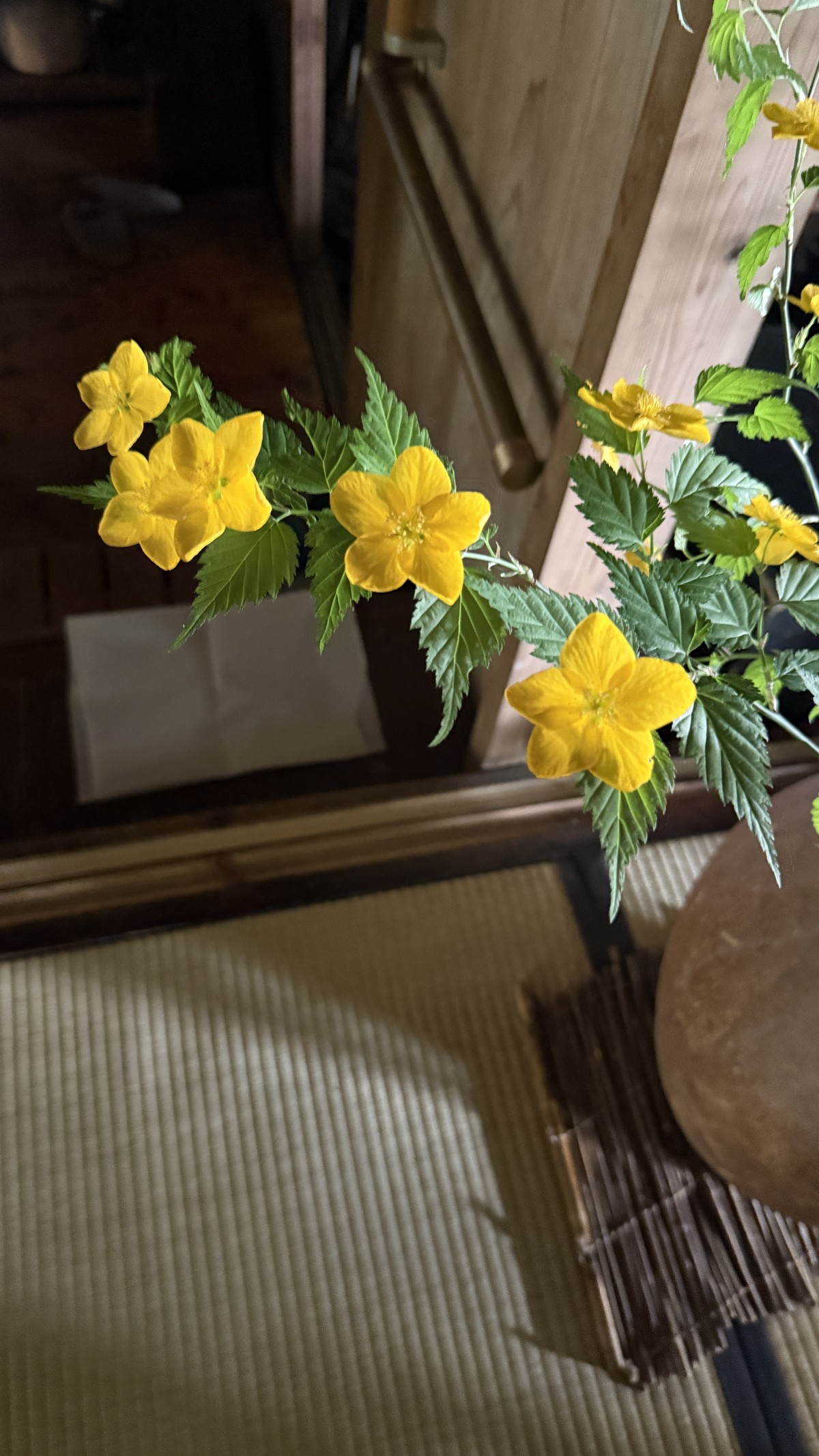 美しい山吹。やまぶき色ってこの色なんですね