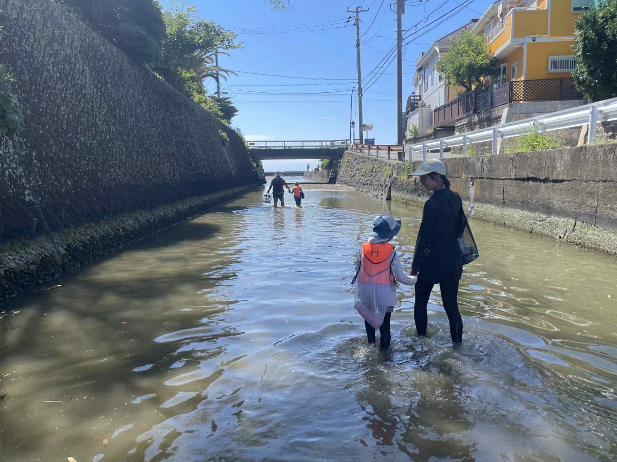 川をじゃぶじゃぶ歩き続けたら、青い海が見えた！小さな、素朴な、大切な、冒険のゴール。
