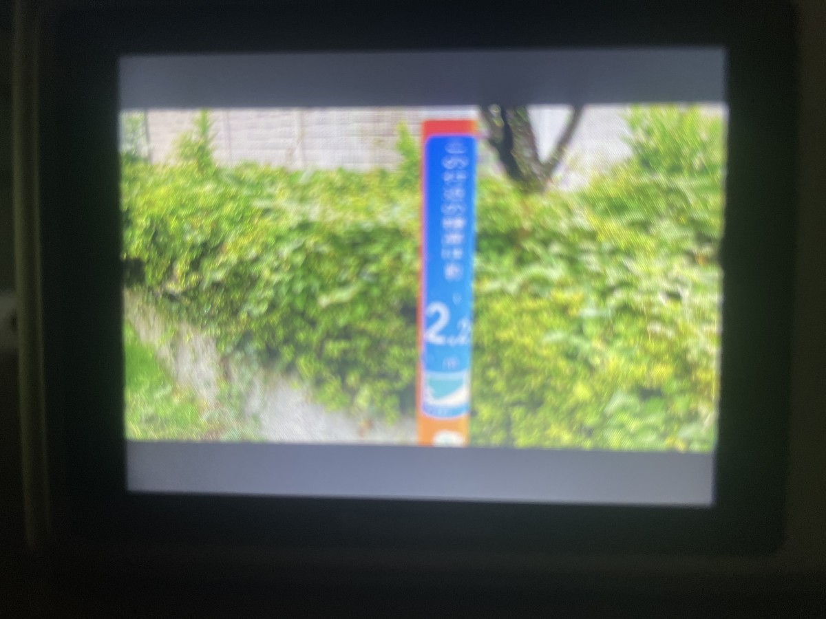 写真② フィルムカメラみたいなデジタルカメラで撮影。