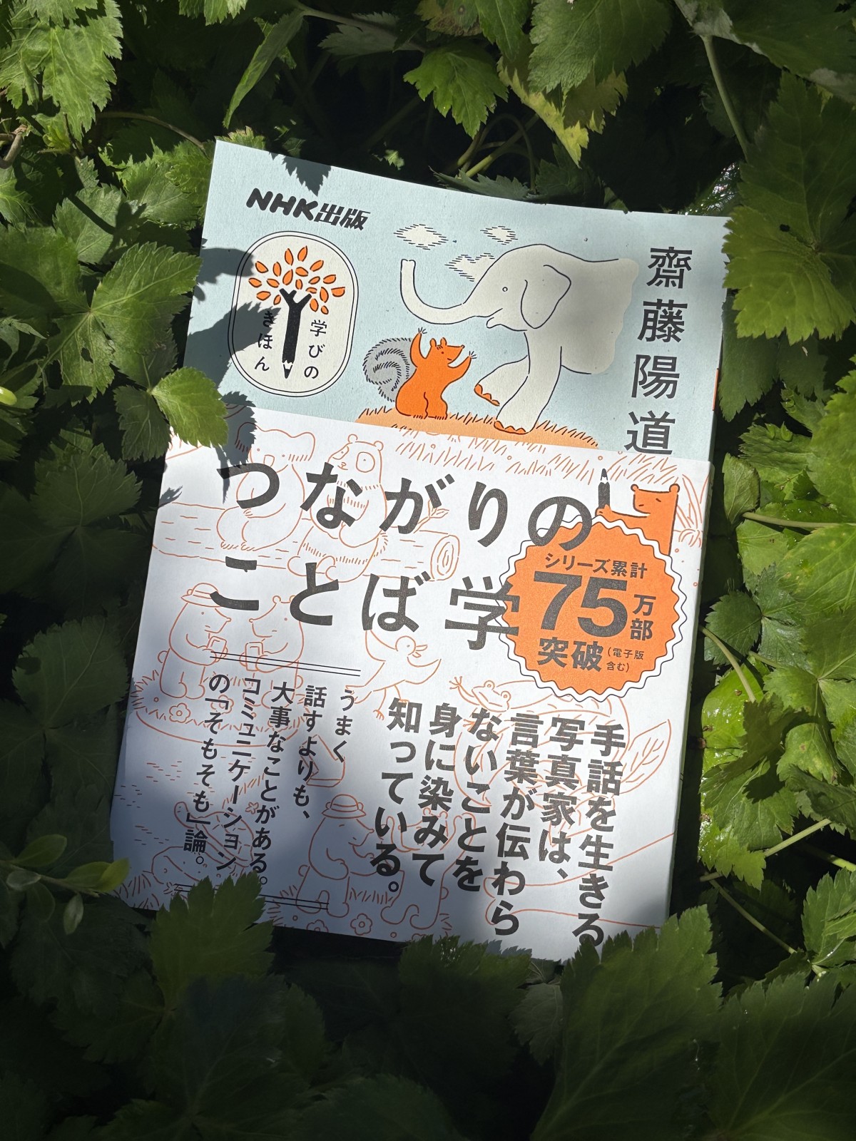 新刊『つながりのことば学』NHK出版