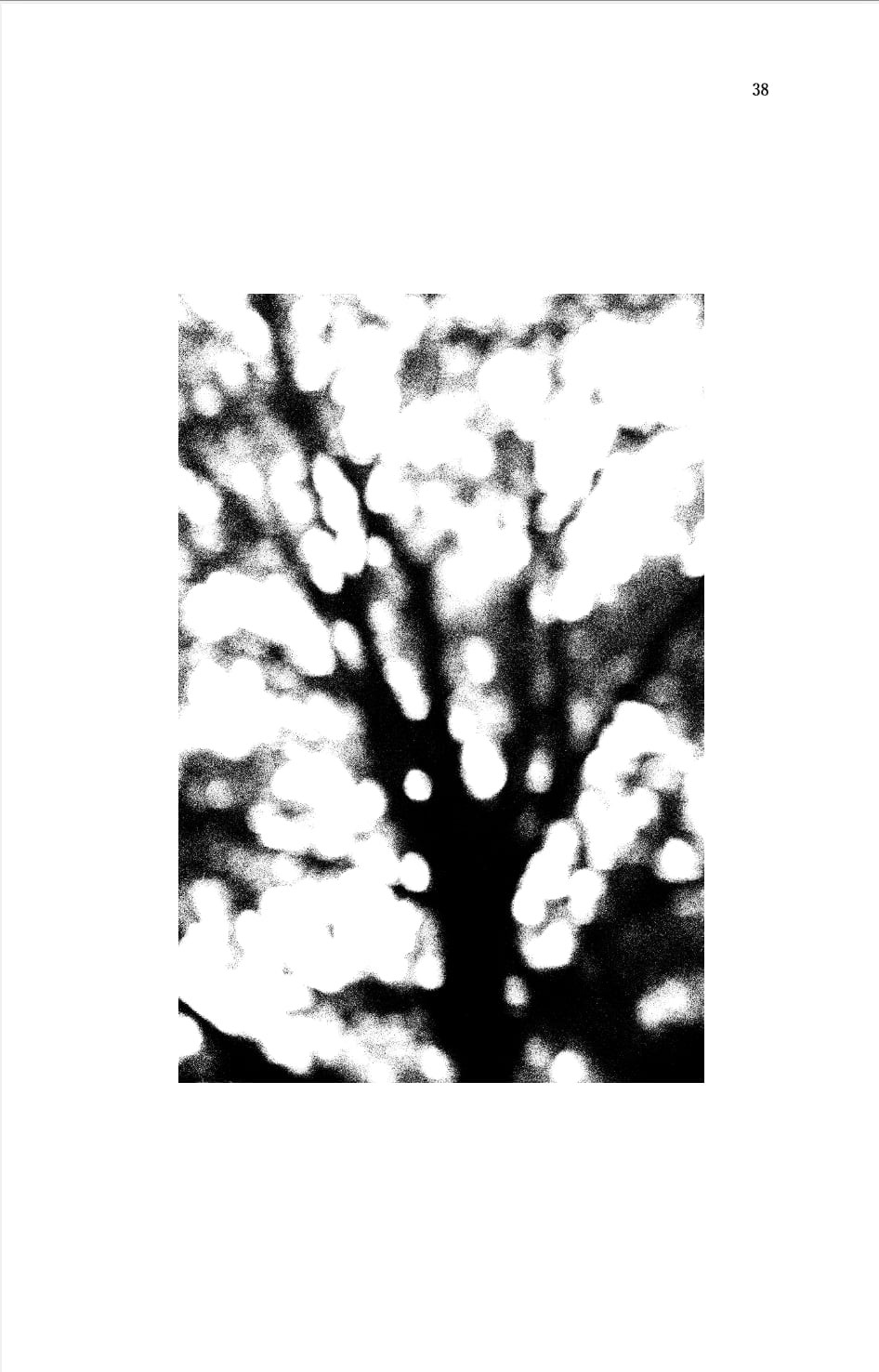 『まなざしの川をわたる』齋藤陽道詩集