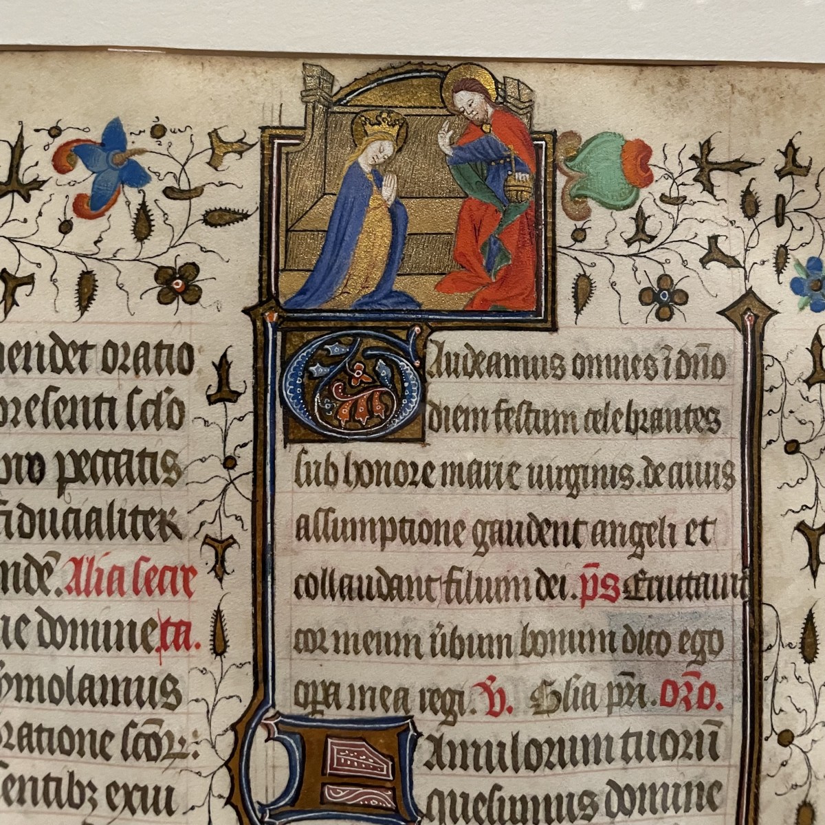 よく見ると金に彫り物がしてあって、キュンとする