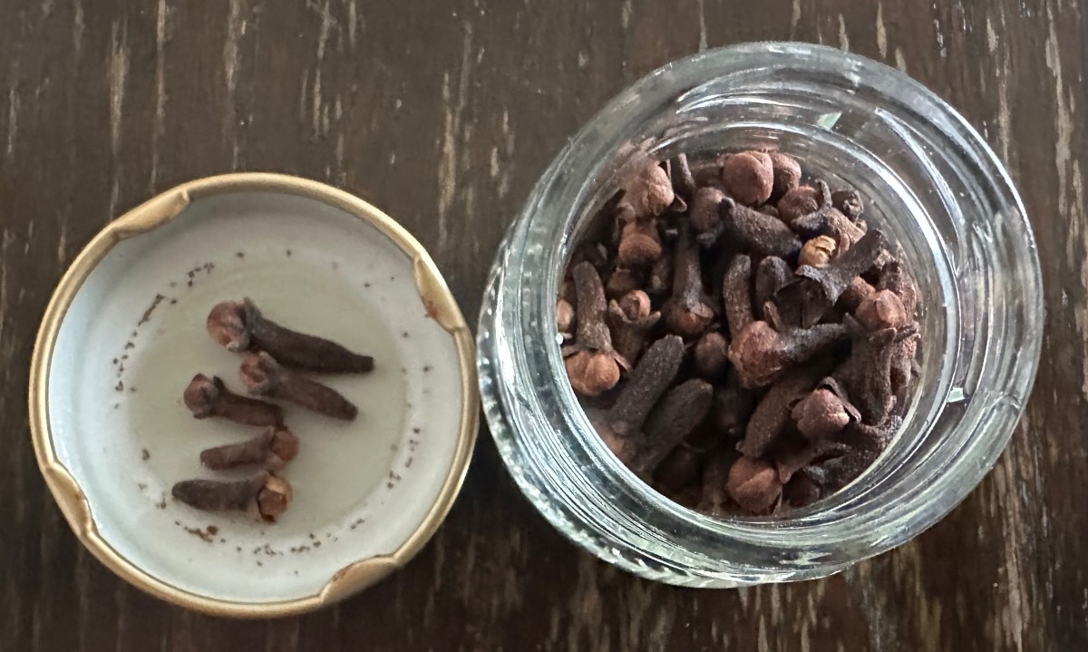 クローブ（筆者撮影）