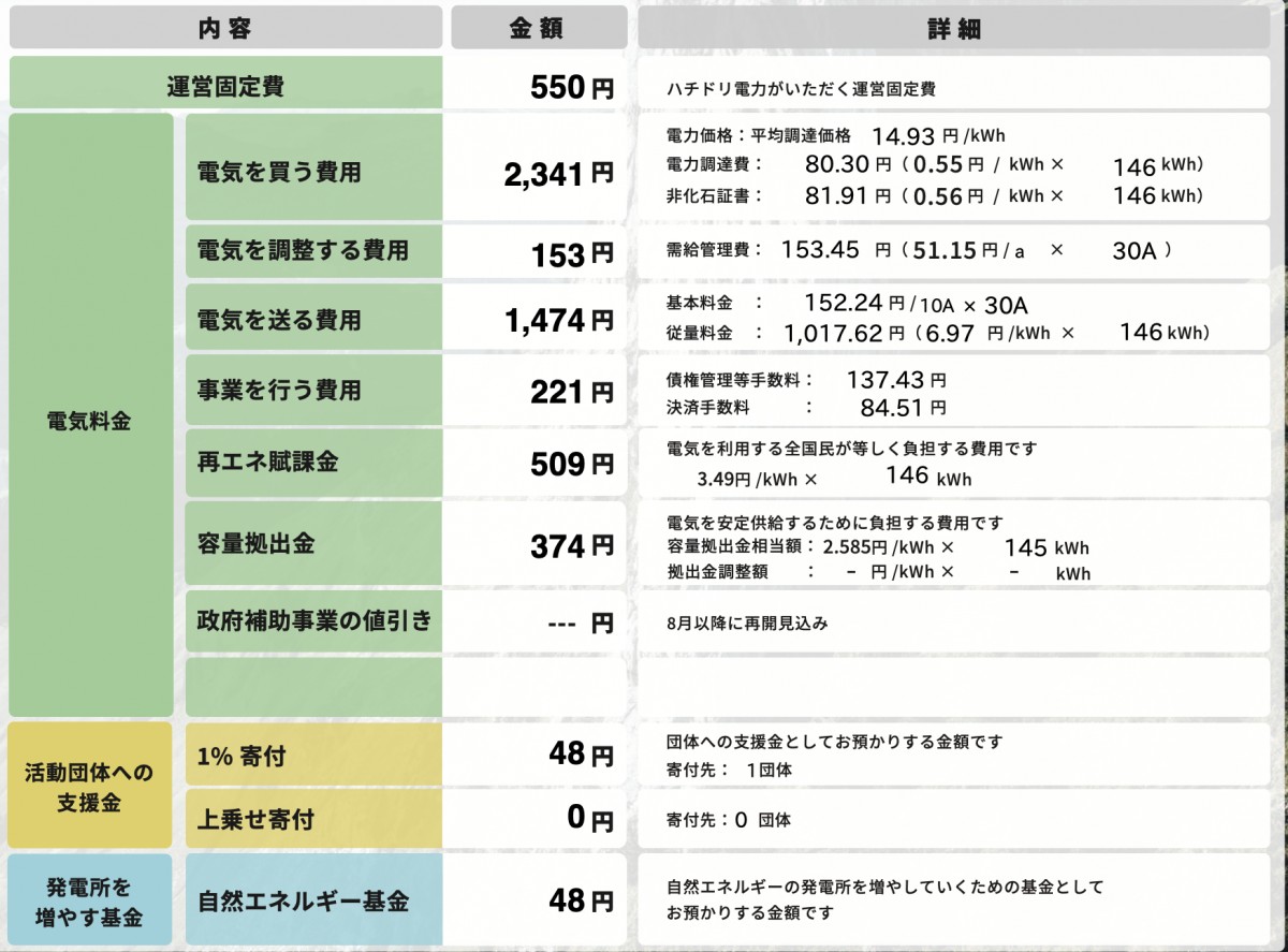 ハチドリ電力の明細事例(一部を筆者がスクリーンショット)