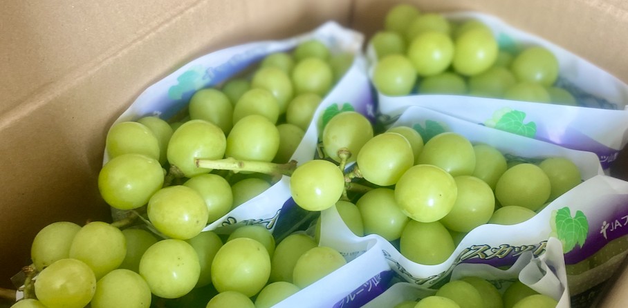 旬の果物届いた🍇