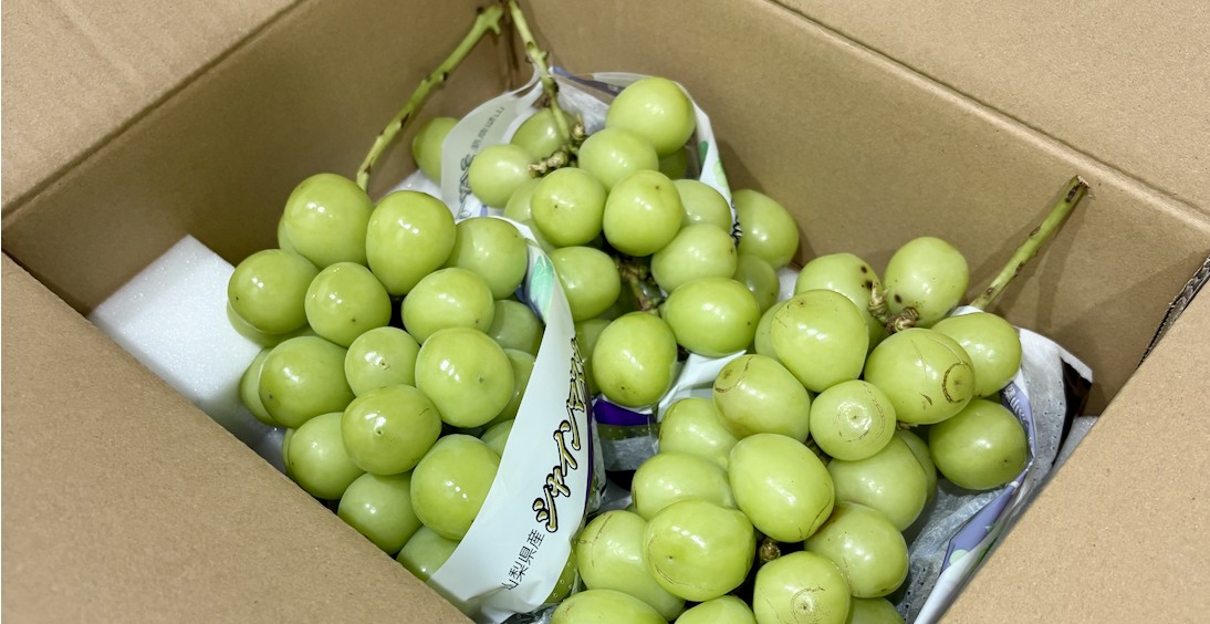 秋の味覚も楽しむ1週間でした🍇