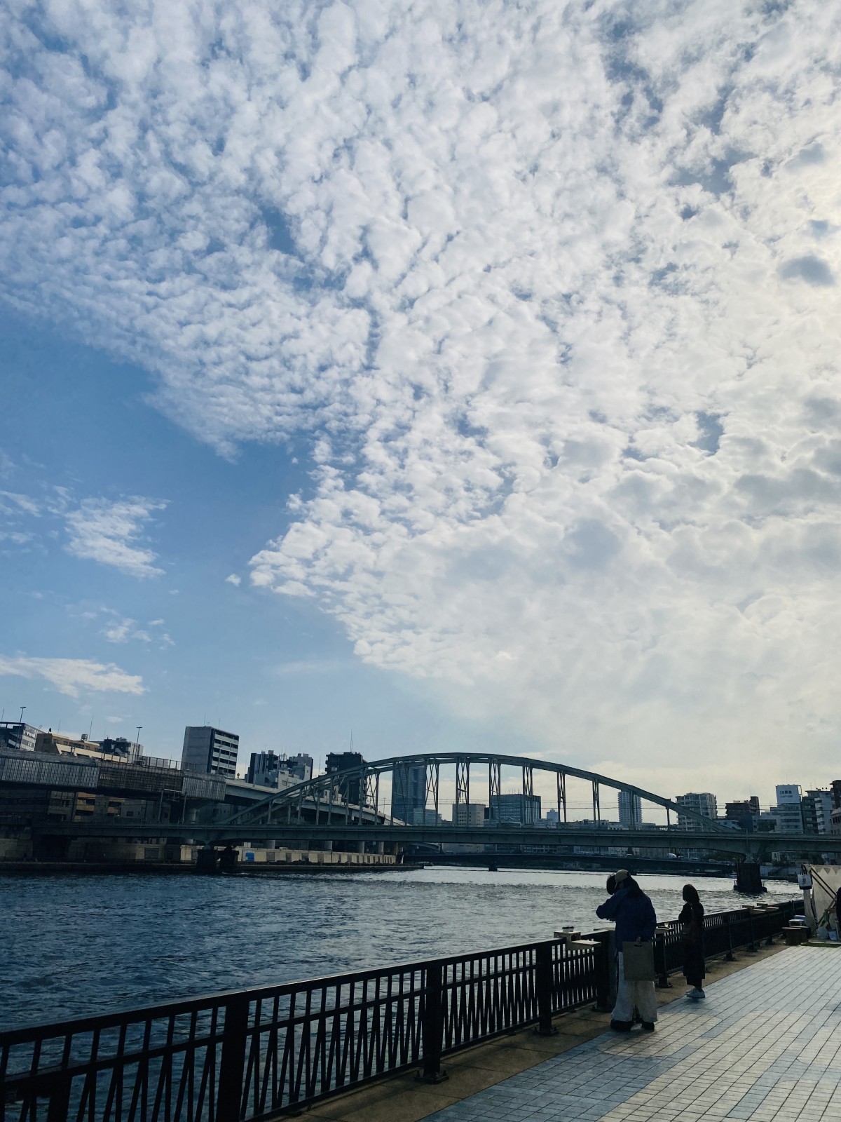 川沿いは空が広くて気持ちが良かったです