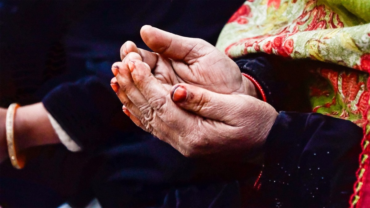 ©2023 Nausheen Khan