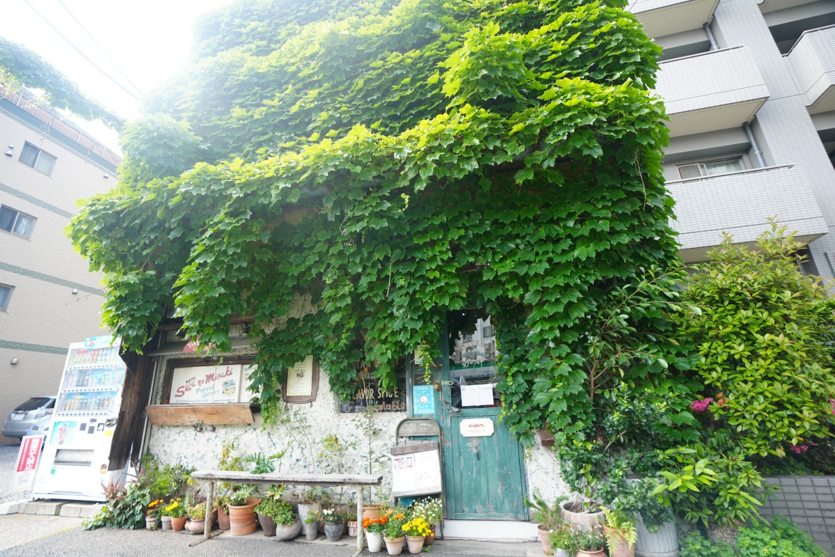 砂の岬 外観