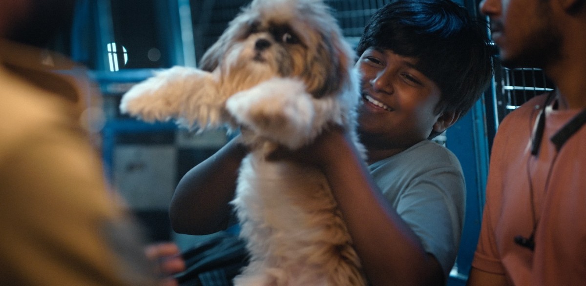 &copy; Million Dollar Studios C MRP Entertainment.