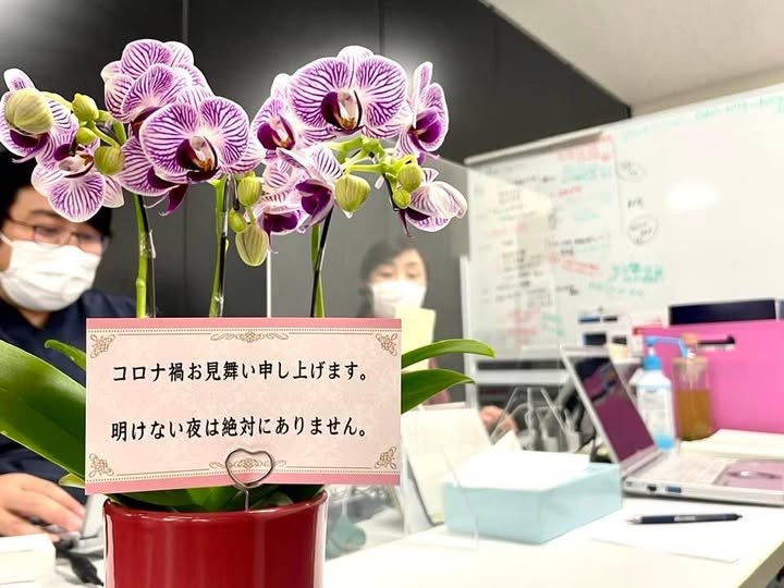 コロナ対応チームに届いたお見舞いのお花。不足する感染防御資材や緊急対応運営資金など、在宅コロナ対応は、多くの方からのご寄付と善意に支えられて乗り切ることができました。改めて感謝申し上げます。