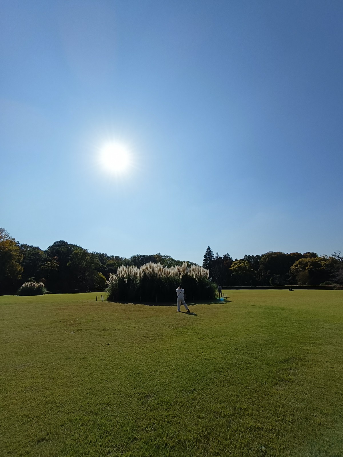 少し前の、冬晴れ散歩