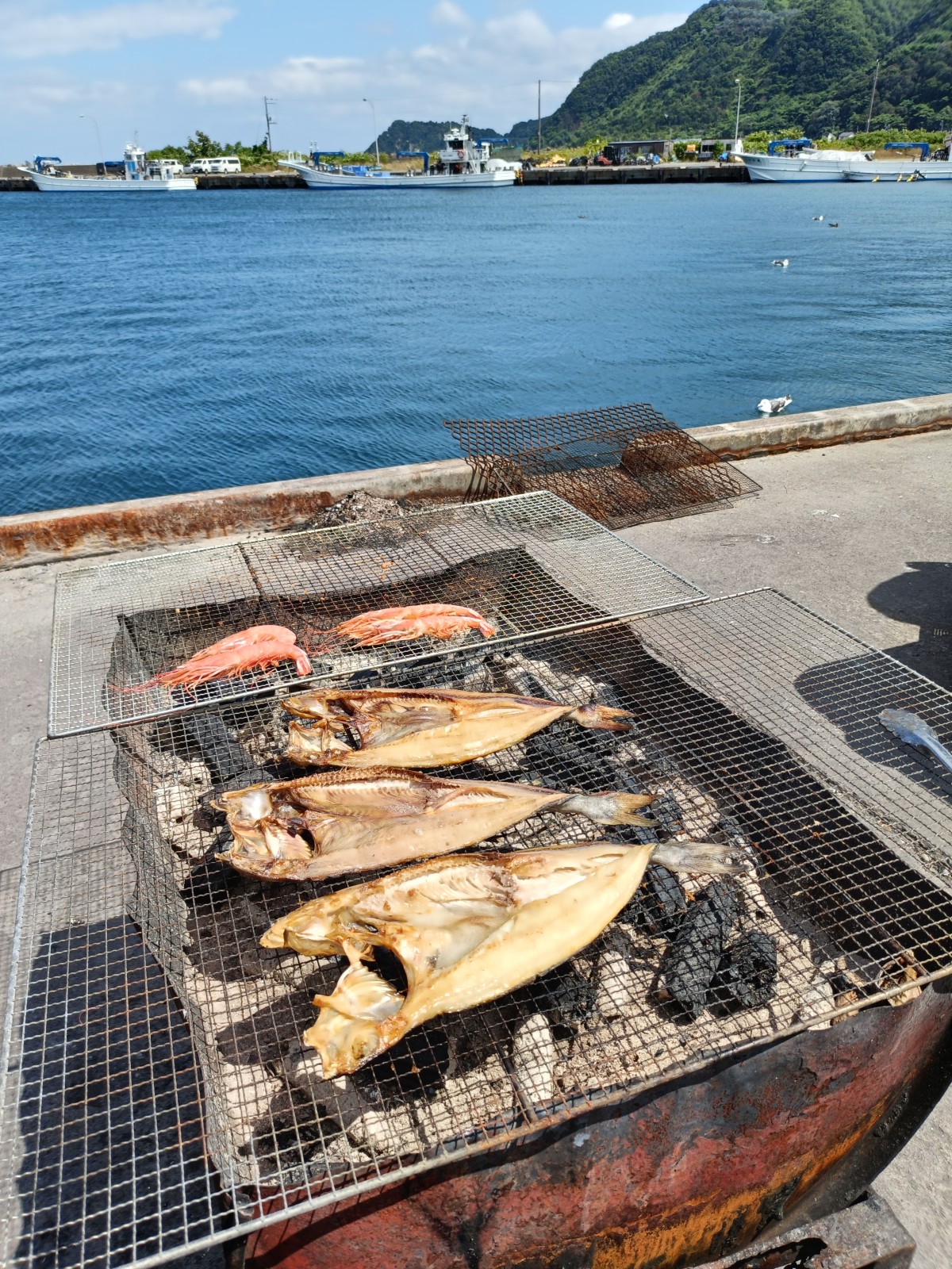 でっかいどうのでっかいホッケ